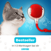 Action-Ball - Der Bestseller