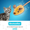 Zauber-Maus - Der Bestseller