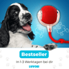 Zauber-Ball - Der Bestseller